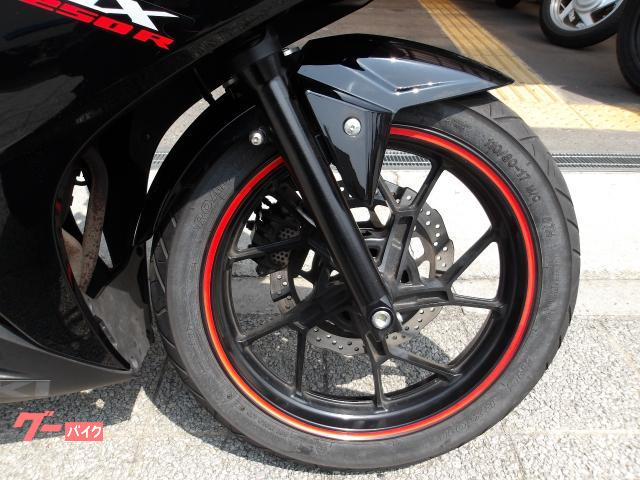 スズキ ＧＳＸ２５０Ｒ　２０１７年モデル　インジェクション　水冷２気筒エンジン搭載 写真14