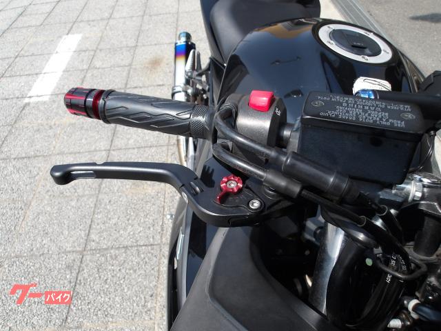 スズキ ＧＳＸ２５０Ｒ　２０１７年モデル　インジェクション　水冷２気筒エンジン搭載 写真23