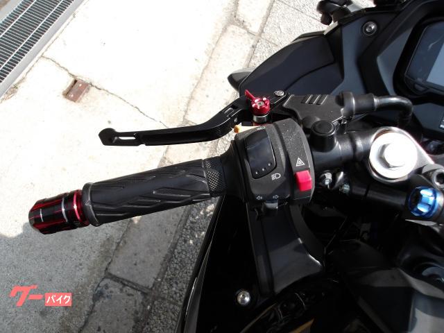 スズキ ＧＳＸ２５０Ｒ　２０１７年モデル　インジェクション　水冷２気筒エンジン搭載 写真49