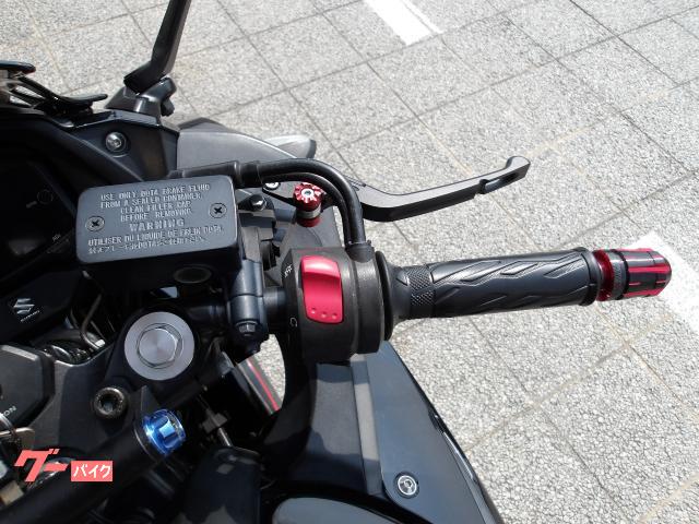 スズキ ＧＳＸ２５０Ｒ　２０１７年モデル　インジェクション　水冷２気筒エンジン搭載 写真50