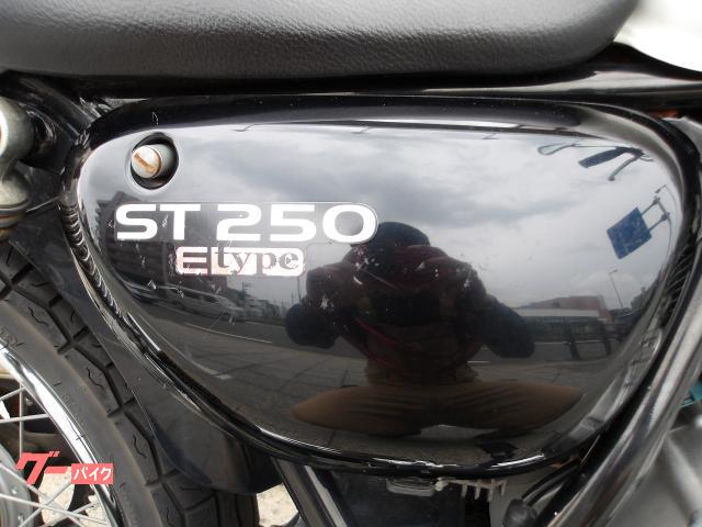 スズキ ＳＴ２５０　Ｅタイプ　２００９年モデル　インジェクション　空冷単気筒エンジン 写真12
