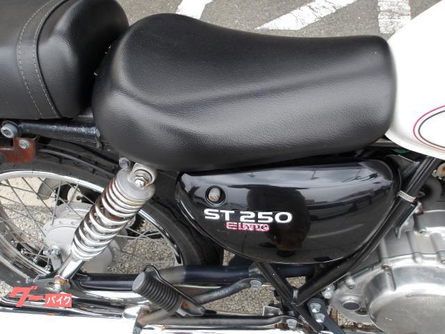 スズキ ＳＴ２５０　Ｅタイプ　２００９年モデル　インジェクション　空冷単気筒エンジン 写真13
