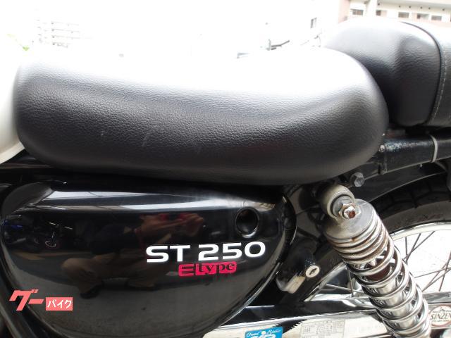 スズキ ＳＴ２５０　Ｅタイプ　２００９年モデル　インジェクション　空冷単気筒エンジン 写真43