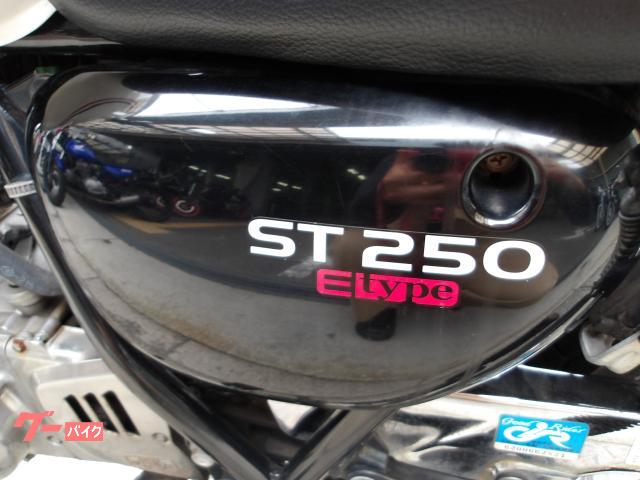 スズキ ＳＴ２５０　Ｅタイプ　２００９年モデル　インジェクション　空冷単気筒エンジン 写真44