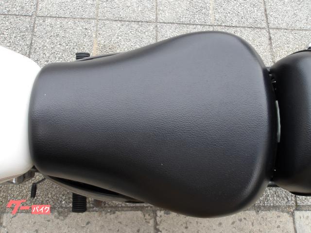 スズキ ＳＴ２５０　Ｅタイプ　２００９年モデル　インジェクション　空冷単気筒エンジン 写真67