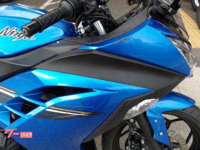 カワサキ Ｎｉｎｊａ　２５０　２０１７年モデル　インジェクション　水冷２気筒エンジン 写真7