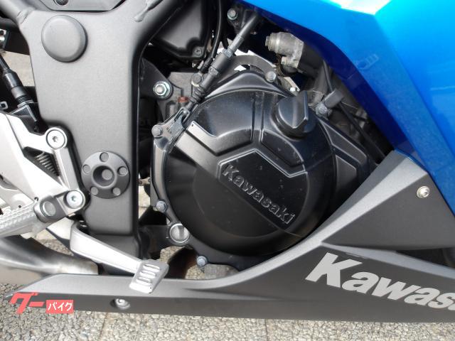 カワサキ Ｎｉｎｊａ　２５０　２０１７年モデル　インジェクション　水冷２気筒エンジン 写真14
