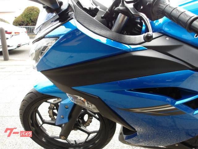カワサキ Ｎｉｎｊａ　２５０　２０１７年モデル　インジェクション　水冷２気筒エンジン 写真31