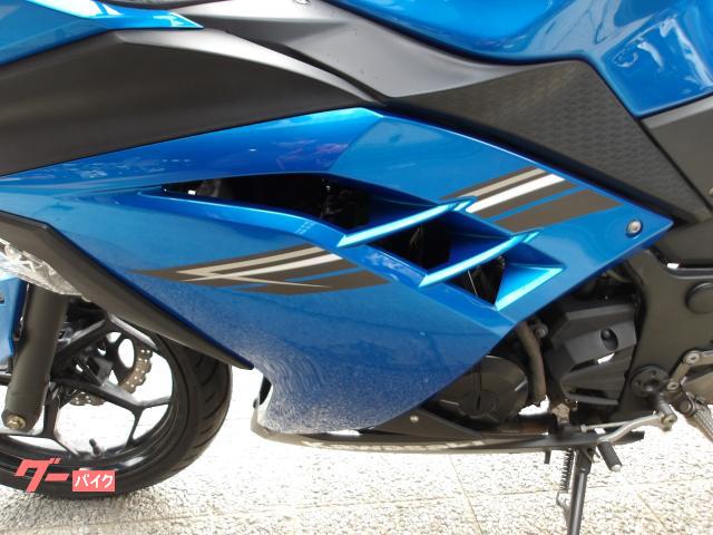カワサキ Ｎｉｎｊａ　２５０　２０１７年モデル　インジェクション　水冷２気筒エンジン 写真32