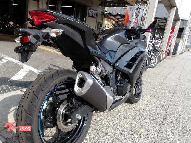 カワサキ Ｎｉｎｊａ　２５０　２０１６年モデル　インジェクション　水冷２気筒エンジン搭載 写真6