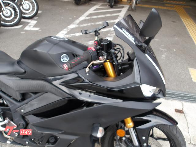 ヤマハ ＹＺＦ−Ｒ２５　２０１９年モデル　インジェクション　水冷２気筒エンジン搭載 写真6