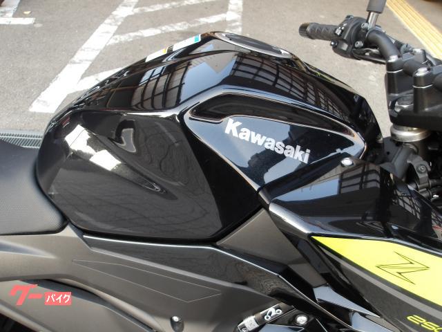 カワサキ Ｚ２５０　２０２２年モデル　ＡＢＳ　インジェクション　水冷２気筒エンジン搭載 写真7