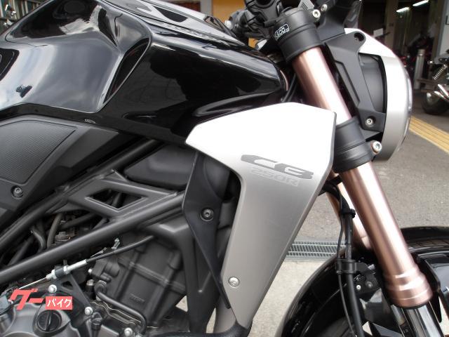 ホンダ ＣＢ２５０Ｒ　２０１９年モデル　ＡＢＳ　インジェクション　水冷単気筒エンジン 写真10