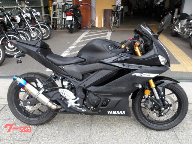 ヤマハ ＹＺＦ−Ｒ２５　２０１９年モデル　インジェクション　水冷２気筒エンジン搭載
