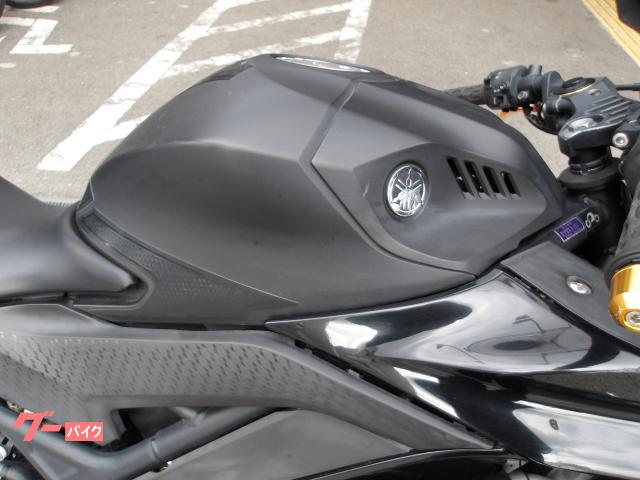 ヤマハ ＹＺＦ−Ｒ２５　２０１９年モデル　インジェクション　水冷２気筒エンジン搭載 写真8