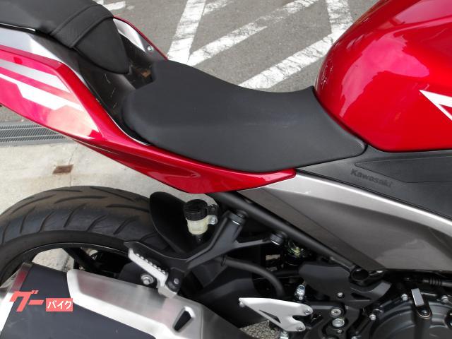カワサキ Ｎｉｎｊａ　２５０　２０２０年モデル　ＡＢＳ　インジェクション　水冷２気筒エンジン搭載 写真8