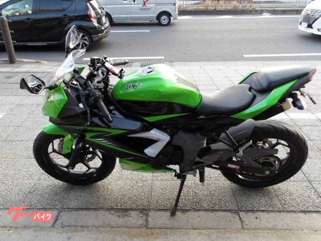 カワサキ Ｎｉｎｊａ　２５０ＳＬ　２０１５年モデル　インジェクション　水冷単気筒エンジン 写真3
