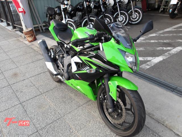 カワサキ Ｎｉｎｊａ　２５０ＳＬ　２０１５年モデル　インジェクション　水冷単気筒エンジン 写真5