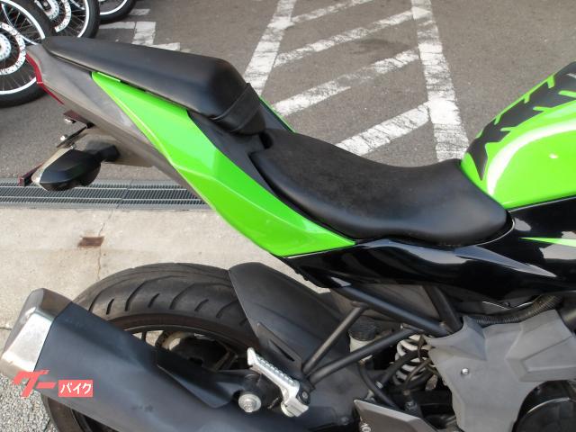 カワサキ Ｎｉｎｊａ　２５０ＳＬ　２０１５年モデル　インジェクション　水冷単気筒エンジン 写真9