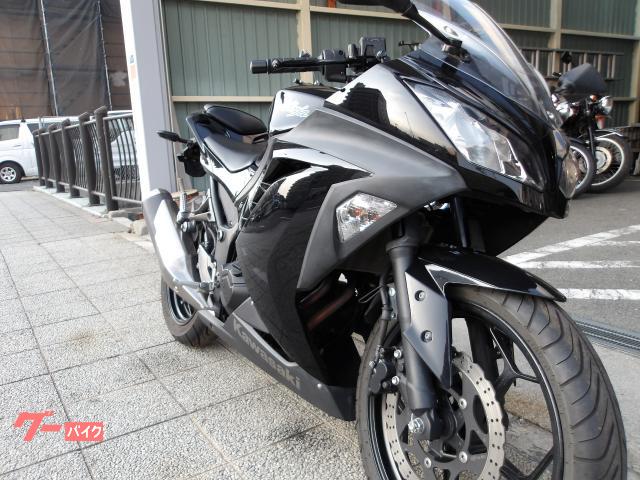 カワサキ Ｎｉｎｊａ　２５０　２０１３年モデル　インジェクション　水冷２気筒エンジン搭載 写真5