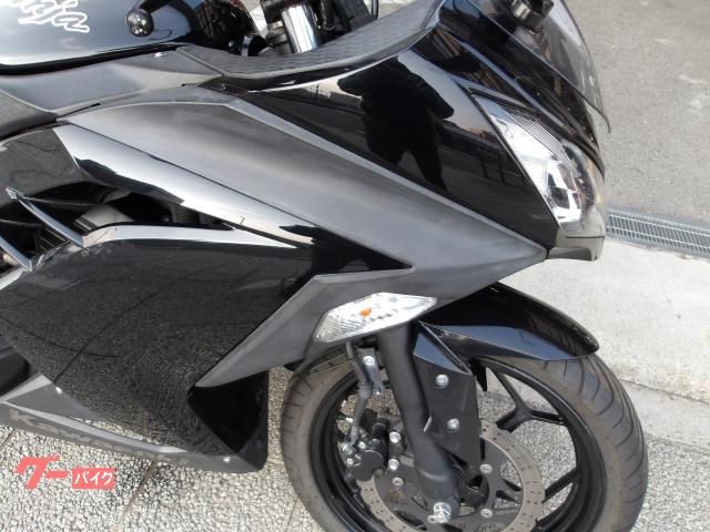 カワサキ Ｎｉｎｊａ　２５０　２０１３年モデル　インジェクション　水冷２気筒エンジン搭載 写真10