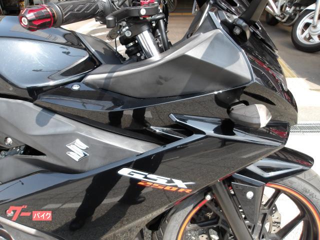 スズキ ＧＳＸ２５０Ｒ　２０１７年モデル　インジェクション　水冷２気筒エンジン搭載 写真7