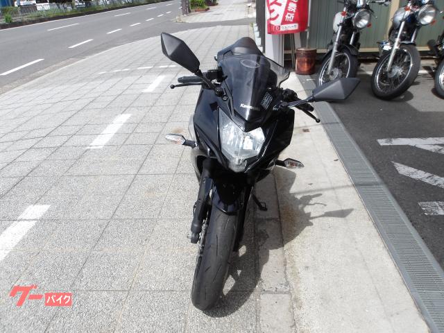 カワサキ Ｎｉｎｊａ　２５０ＳＬ　２０１６年モデル　インジェクション　水冷単筒エンジン搭載 写真2