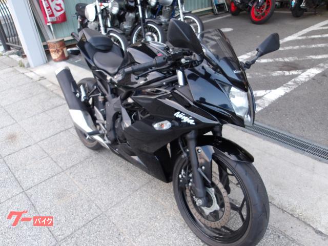 カワサキ Ｎｉｎｊａ　２５０ＳＬ　２０１６年モデル　インジェクション　水冷単筒エンジン搭載 写真5