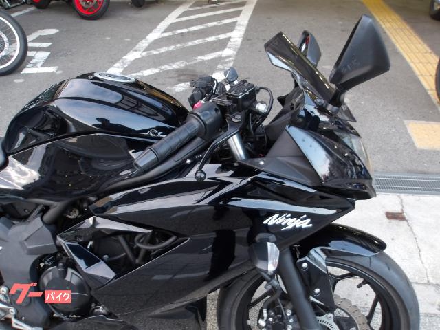 カワサキ Ｎｉｎｊａ　２５０ＳＬ　２０１６年モデル　インジェクション　水冷単筒エンジン搭載 写真6