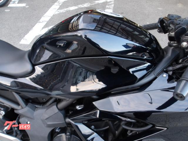 カワサキ Ｎｉｎｊａ　２５０ＳＬ　２０１６年モデル　インジェクション　水冷単筒エンジン搭載 写真7