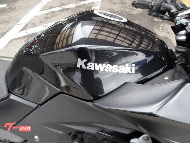カワサキ Ｚ２５０　２０１６年モデル　ＡＢＳ　ＥＴＣ　純正スペアキー　インジェクション　水冷２気筒エンジン搭載 写真7