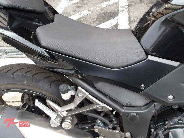 カワサキ Ｚ２５０　２０１６年モデル　ＡＢＳ　ＥＴＣ　純正スペアキー　インジェクション　水冷２気筒エンジン搭載 写真8