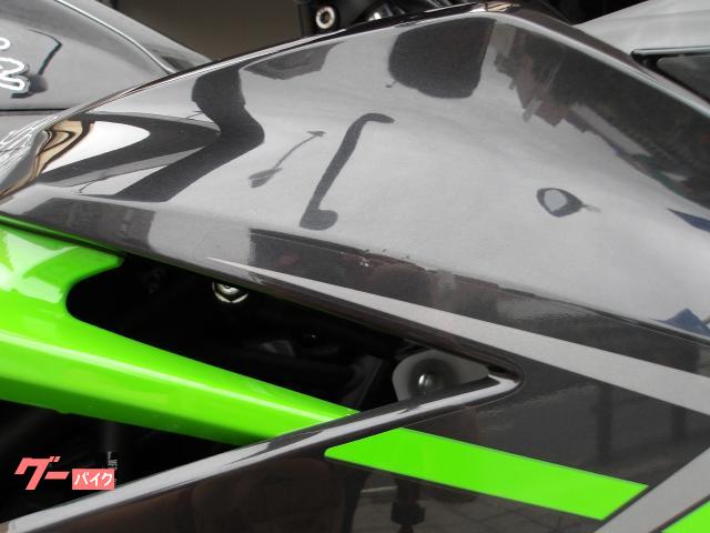 カワサキ Ｎｉｎｊａ　４００　２０１９年モデル　ＡＢＳ　インジェクション　水冷２気筒エンジン搭載 写真9