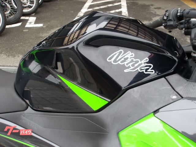カワサキ Ｎｉｎｊａ　４００　２０１９年モデル　ＡＢＳ　インジェクション　水冷２気筒エンジン搭載 写真10