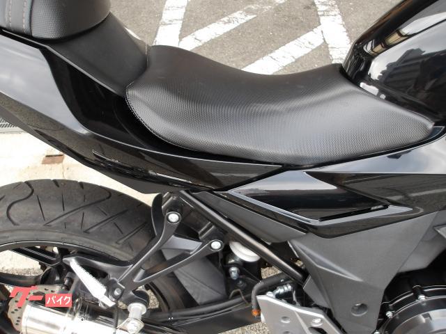 スズキ ＧＳＸ２５０Ｒ　２０１９年モデル　インジェクション　純正スペアキー　水冷２気筒エンジン搭載 写真11