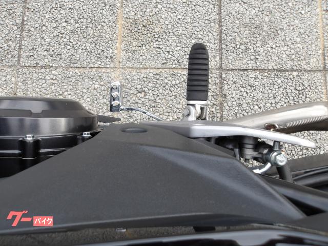 スズキ ＧＳＸ２５０Ｒ　２０１９年モデル　インジェクション　純正スペアキー　水冷２気筒エンジン搭載 写真52