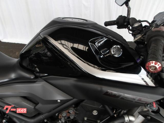 ヤマハ ＭＴ−２５　２０１８年モデル　アクラポサイレンサーインジェクション　水冷２気筒エンジン搭載 写真6