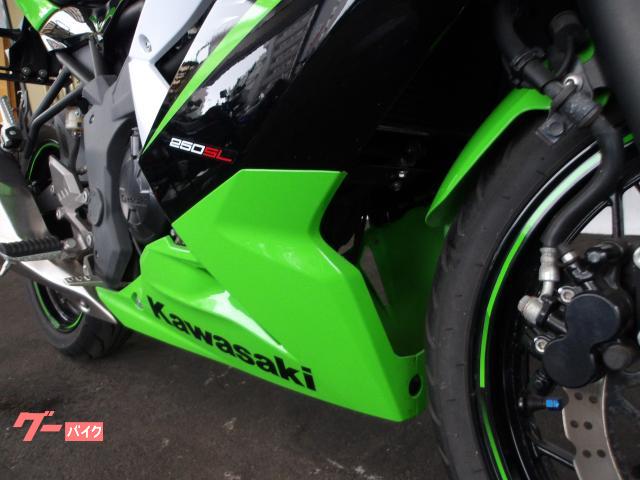 カワサキ Ｎｉｎｊａ　２５０ＳＬ　２０１５年モデル　純正スペアキー　インジェクション　水冷単筒エンジン搭載 写真13