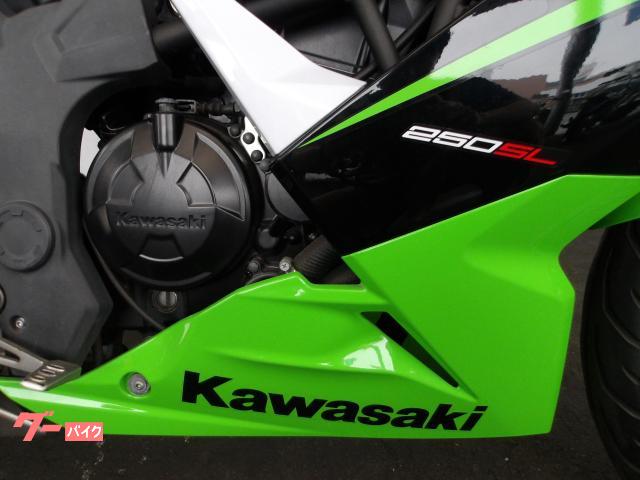 カワサキ Ｎｉｎｊａ　２５０ＳＬ　２０１５年モデル　純正スペアキー　インジェクション　水冷単筒エンジン搭載 写真14