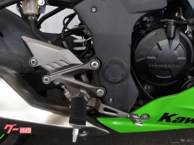 カワサキ Ｎｉｎｊａ　２５０ＳＬ　２０１５年モデル　純正スペアキー　インジェクション　水冷単筒エンジン搭載 写真15