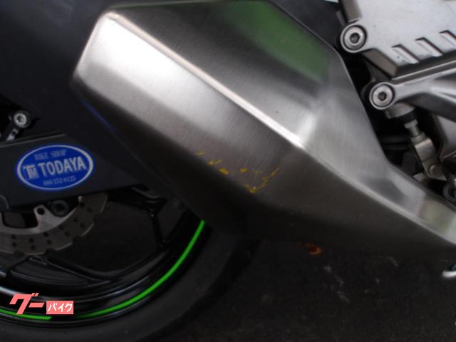カワサキ Ｎｉｎｊａ　２５０ＳＬ　２０１５年モデル　純正スペアキー　インジェクション　水冷単筒エンジン搭載 写真17