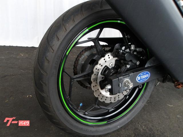 カワサキ Ｎｉｎｊａ　２５０ＳＬ　２０１５年モデル　純正スペアキー　インジェクション　水冷単筒エンジン搭載 写真18