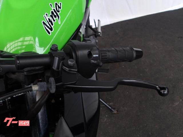 カワサキ Ｎｉｎｊａ　２５０ＳＬ　２０１５年モデル　純正スペアキー　インジェクション　水冷単筒エンジン搭載 写真21