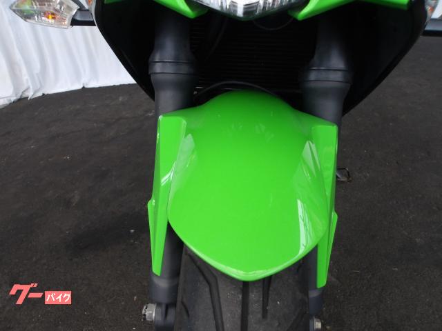 カワサキ Ｎｉｎｊａ　２５０ＳＬ　２０１５年モデル　純正スペアキー　インジェクション　水冷単筒エンジン搭載 写真24