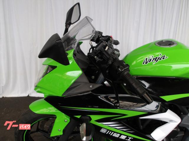 カワサキ Ｎｉｎｊａ　２５０ＳＬ　２０１５年モデル　純正スペアキー　インジェクション　水冷単筒エンジン搭載 写真26