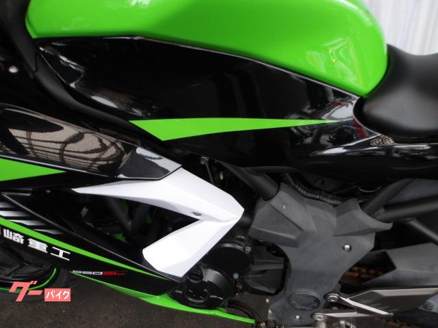 カワサキ Ｎｉｎｊａ　２５０ＳＬ　２０１５年モデル　純正スペアキー　インジェクション　水冷単筒エンジン搭載 写真30