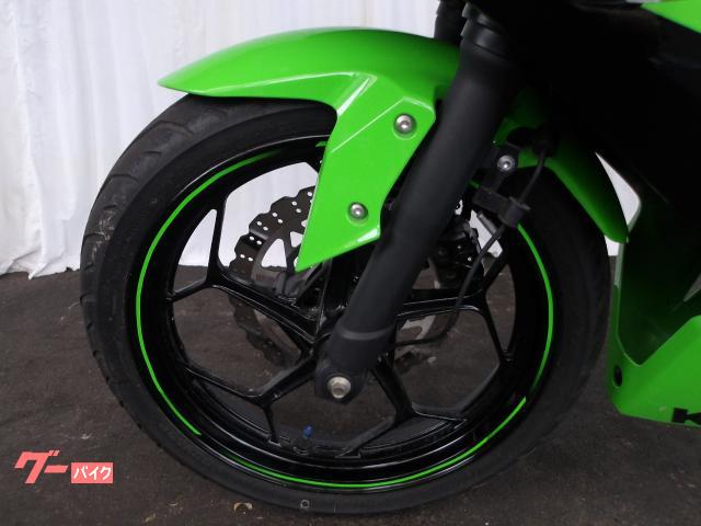 カワサキ Ｎｉｎｊａ　２５０ＳＬ　２０１５年モデル　純正スペアキー　インジェクション　水冷単筒エンジン搭載 写真33
