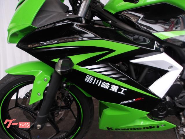 カワサキ Ｎｉｎｊａ　２５０ＳＬ　２０１５年モデル　純正スペアキー　インジェクション　水冷単筒エンジン搭載 写真34