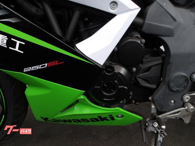 カワサキ Ｎｉｎｊａ　２５０ＳＬ　２０１５年モデル　純正スペアキー　インジェクション　水冷単筒エンジン搭載 写真35