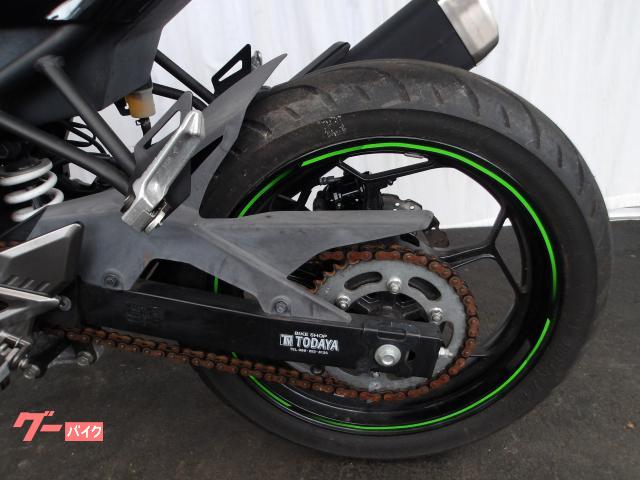 カワサキ Ｎｉｎｊａ　２５０ＳＬ　２０１５年モデル　純正スペアキー　インジェクション　水冷単筒エンジン搭載 写真37